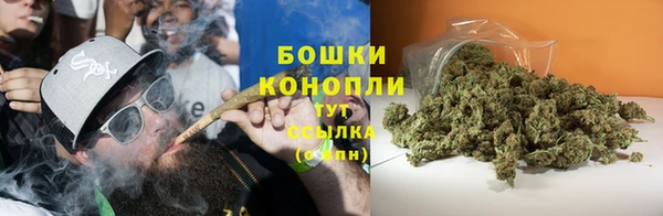 трава Армянск