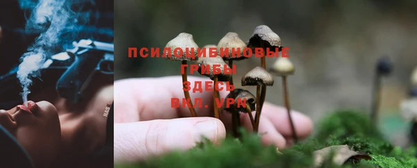 дмт Аркадак